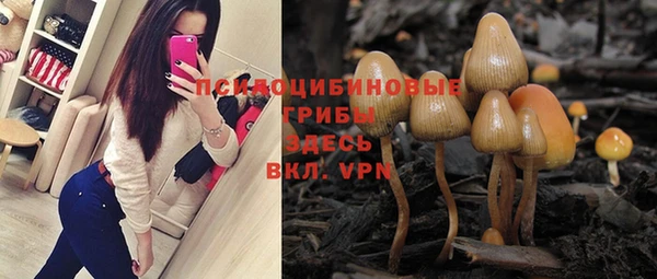 гидропоника Белокуриха