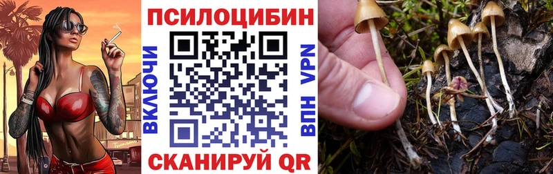 хочу   Салаир  shop официальный сайт  Галлюциногенные грибы Magic Shrooms 